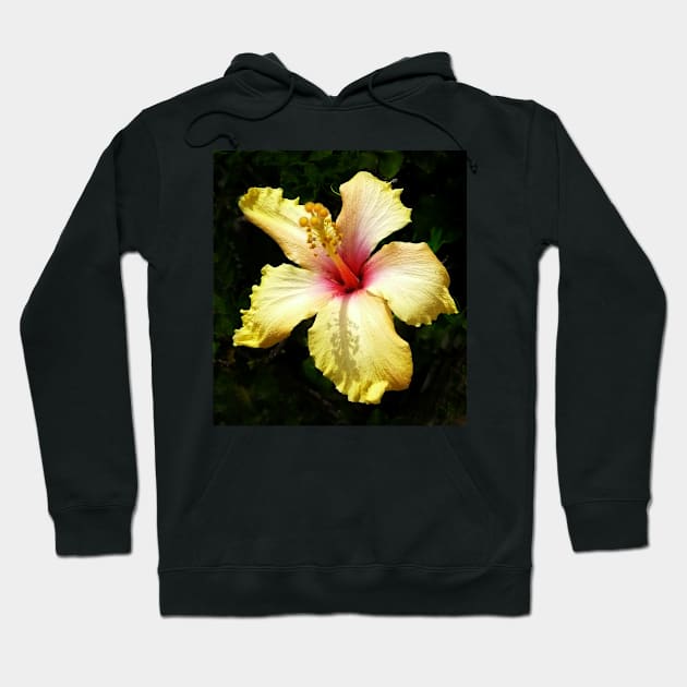 Hibiscus Hoodie by rozmcq